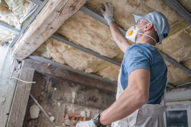 Best Insulation Maintenance and Repair in Lawndale, CA